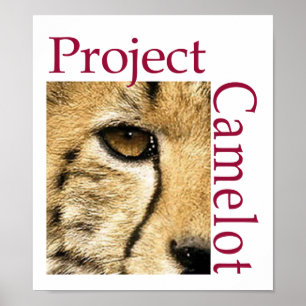 Project Camelot Logo Poster