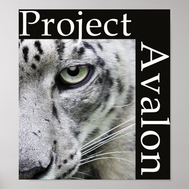 Projekt Avalon Poster (Dunkel) (Vorne)