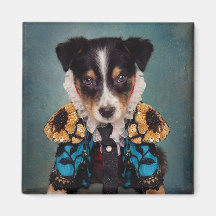 Projekt für Unterbringung von Haustieren - Loki (b