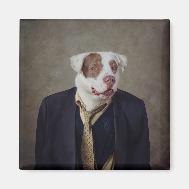 Projekt für Unterkünfte in Casanova Magnet (Vorne)