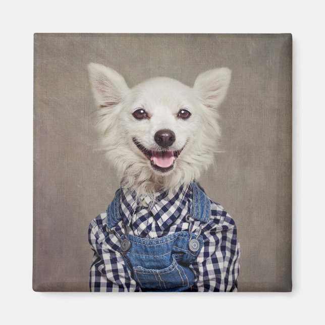 Projekt für Unterkünfte - Tonka Magnet (Vorne)