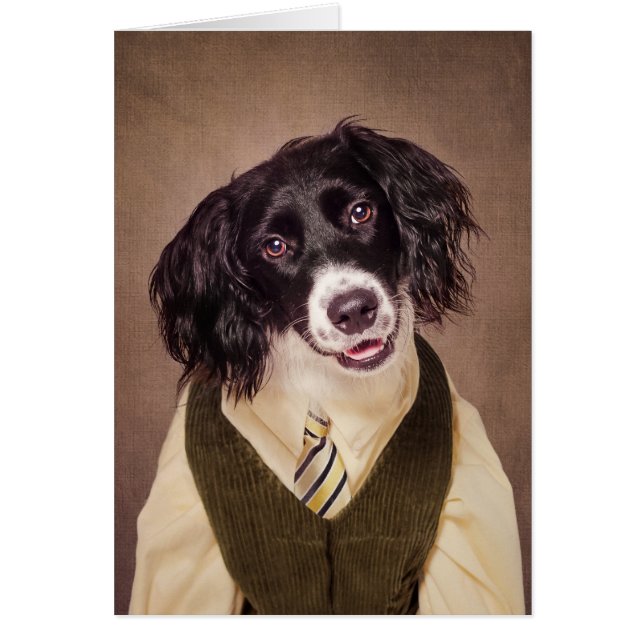 Projet d'animaux familiers d'abri - boulet de (Devant)