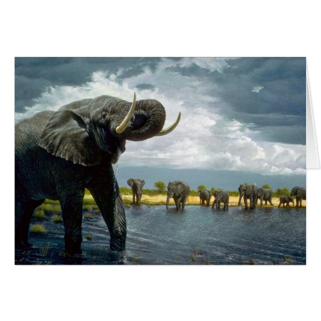 Promenade d'éléphant (Devant horizontal)