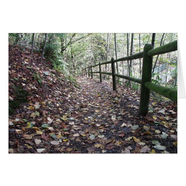 Promenade en parc (Devant horizontal)