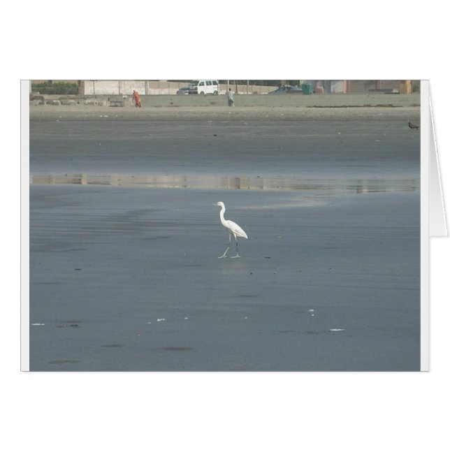 Promenade en solo.JPG (Devant horizontal)