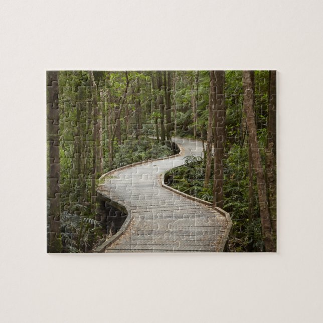 Promenade nach Nelson Falls, Franklin - Gordon (Horizontal)