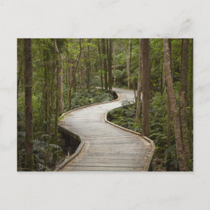 Promenade nach Nelson Falls, Franklin - Gordon Postkarte