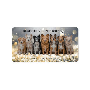 Promeneur de chiens de luxe / Étiquette d'adresse