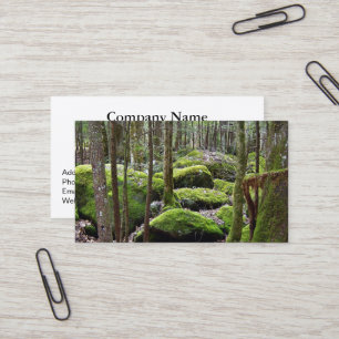 Promenez-vous dans les Cartes de visite des bois