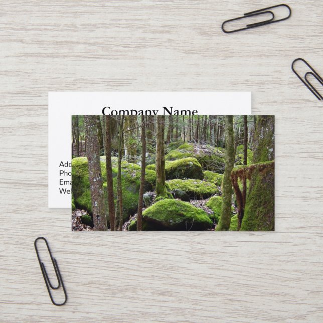 Promenez-vous dans les Cartes de visite des bois (Devant/Arrière en situation)