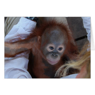 Promesse aux orphelins de la faune