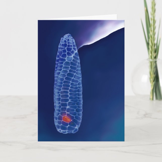 PROMETHEUS (Karte) Karte (Vorderseite)