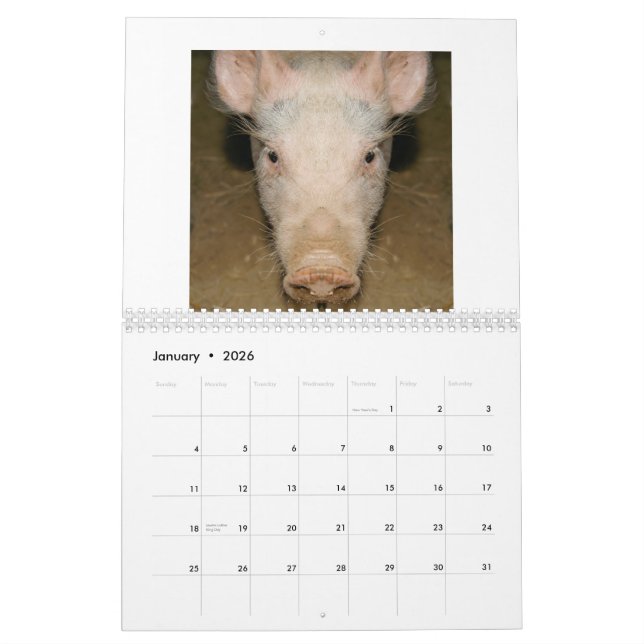 Promo de calendrier (Jan 2026)