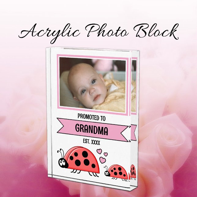 Promoted to grandma ladybugs pink fotoblock (Von Creator hochgeladen)