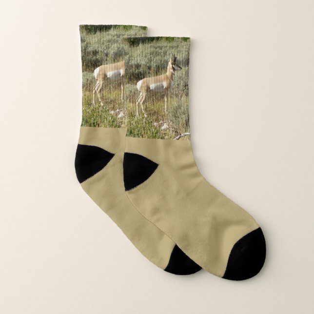 Pronghorn au Parc national de Grand Teton (Paire)