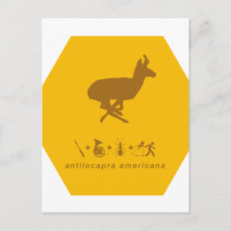 pronghorn gelb und braun.png postkarte