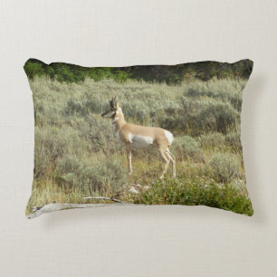 Pronghorn im Grand Teton Nationalpark Dekokissen