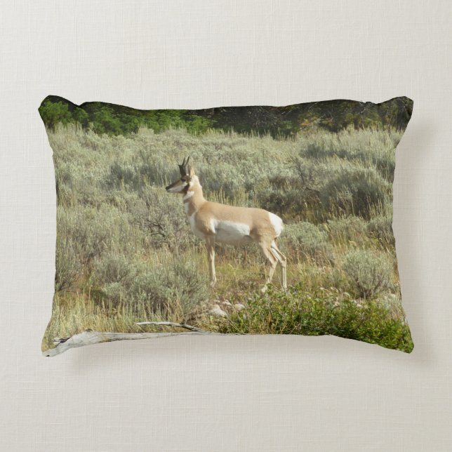 Pronghorn im Grand Teton Nationalpark Dekokissen (Vorderseite)