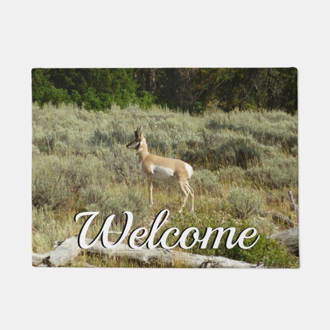 Pronghorn im Grand Teton Nationalpark Fußmatte (Vorderseite)