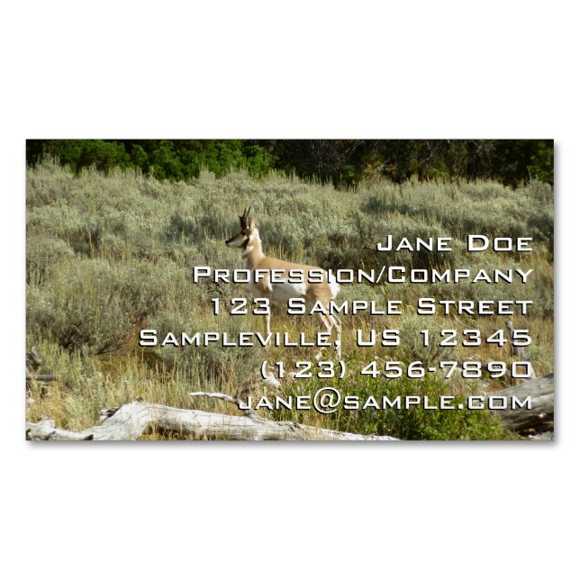 Pronghorn im Grand Teton Nationalpark Magnetische Visitenkarte (Vorderseite)