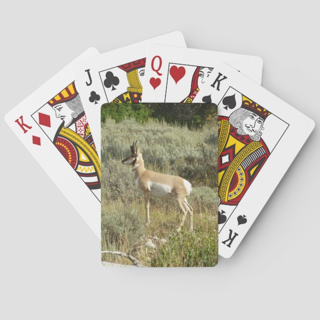 Pronghorn im Grand Teton Nationalpark Spielkarten (Rückseite)