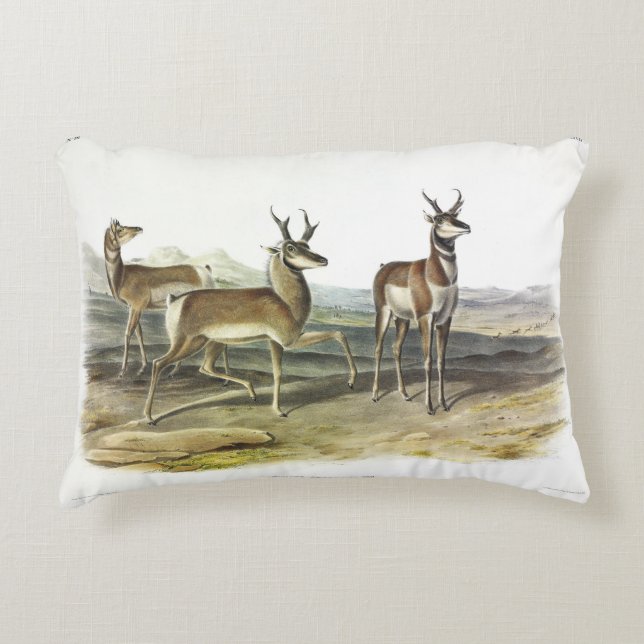 Pronghorn (Prong-horned Antelope) von Audubon Dekokissen (Vorderseite)