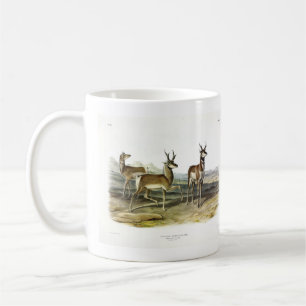 Pronghorn (Prong-horned Antelope) von Audubon Kaffeetasse