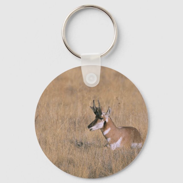 Pronghorn Schlüsselanhänger (Vorderseite)