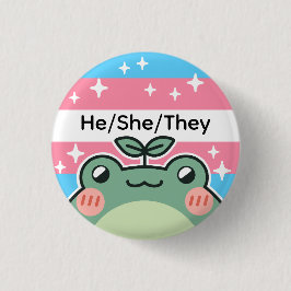 Pronoun Transgender-Flag-Frosch Button