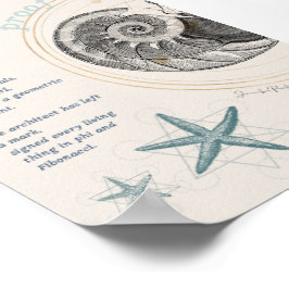 Proof seashell nautilus fibonacci Design Poster