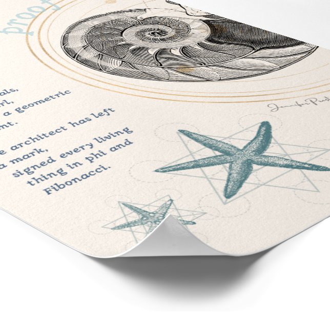 Proof seashell nautilus fibonacci Design Poster (Ecke)