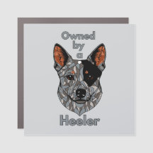 Propriété d'un Heeler (Bleu)