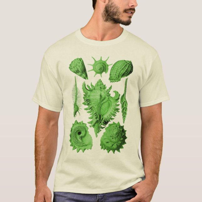 Prosobranchia T-Shirt (Vorderseite)