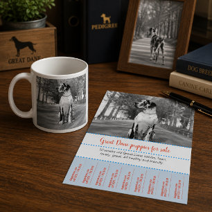 Prospectus 11,4 Cm X 14,2 Cm Affiche de vente de chiots #nestorbw