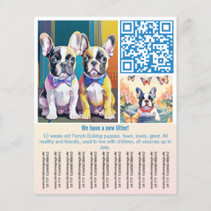 Prospectus 11,4 Cm X 14,2 Cm Chiots Bouledogue Français 