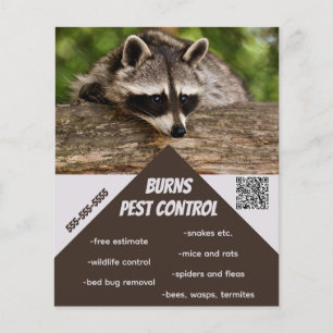 Prospectus 11,4 Cm X 14,2 Cm Contrôle antiparasitaire modifiable