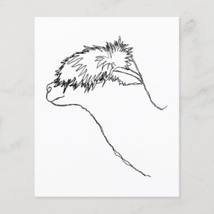 Prospectus 11,4 Cm X 14,2 Cm Croquis d'alpaga.