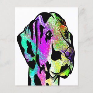 Prospectus 11,4 Cm X 14,2 Cm Dalmatien De Couleur Claire