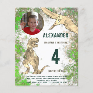Prospectus 11,4 Cm X 14,2 Cm Dinosaur Anniversaire de la fête Photo Budget