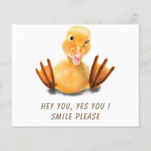Prospectus 11,4 Cm X 14,2 Cm Drôle Duck Flyers
