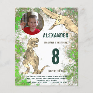 Prospectus 11,4 Cm X 14,2 Cm Fête d'anniversaire dinosaure Photo Budget moderne