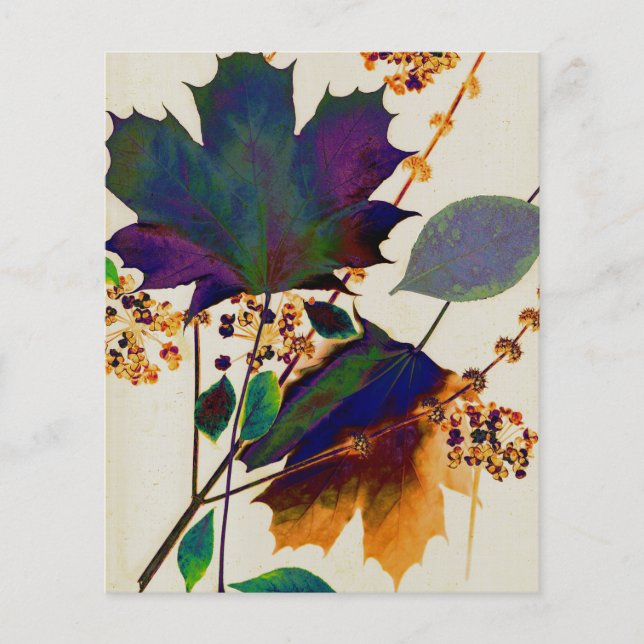 Prospectus 11,4 Cm X 14,2 Cm Feuilles d'automne aux couleurs royales (Devant)