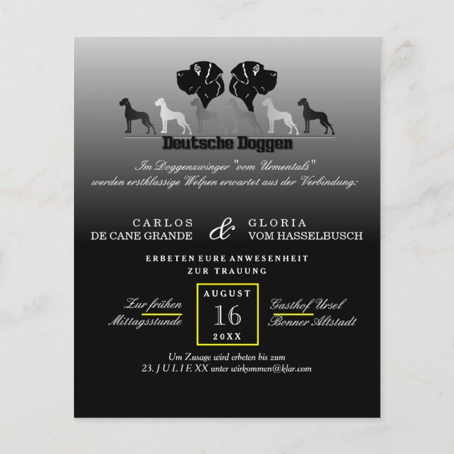 Prospectus 11,4 Cm X 14,2 Cm Flyer Doggen (Dos)