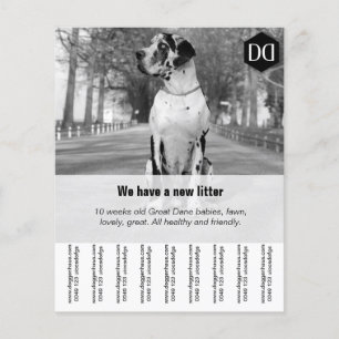 Prospectus 11,4 Cm X 14,2 Cm Flyer "Vendeur"