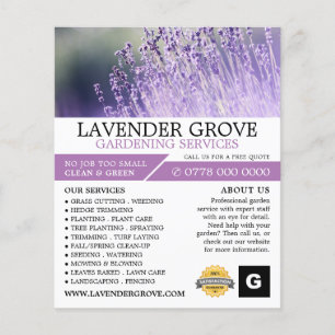 Prospectus 11,4 Cm X 14,2 Cm Lavande violette, Service de jardinage, Horticulte