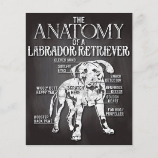 Prospectus 11,4 Cm X 14,2 Cm Meilleur Cadeau L'Anatomie D'Un Labrador Retriever