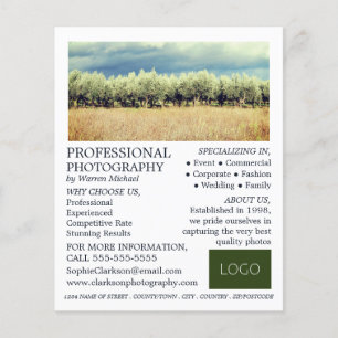 Prospectus 11,4 Cm X 14,2 Cm Olive Trees, Photographie, Location de photographe