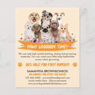 Prospectus 11,4 Cm X 14,2 Cm Orange Simple Floral Illustré Chien groomer