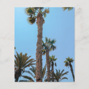 Prospectus 11,4 Cm X 14,2 Cm Palmiers d'été