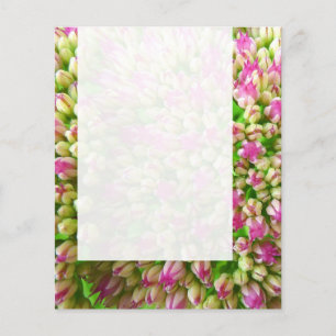 Prospectus 11,4 Cm X 14,2 Cm Panel 0110 - Sdum "Autumn Joy" (B&W)